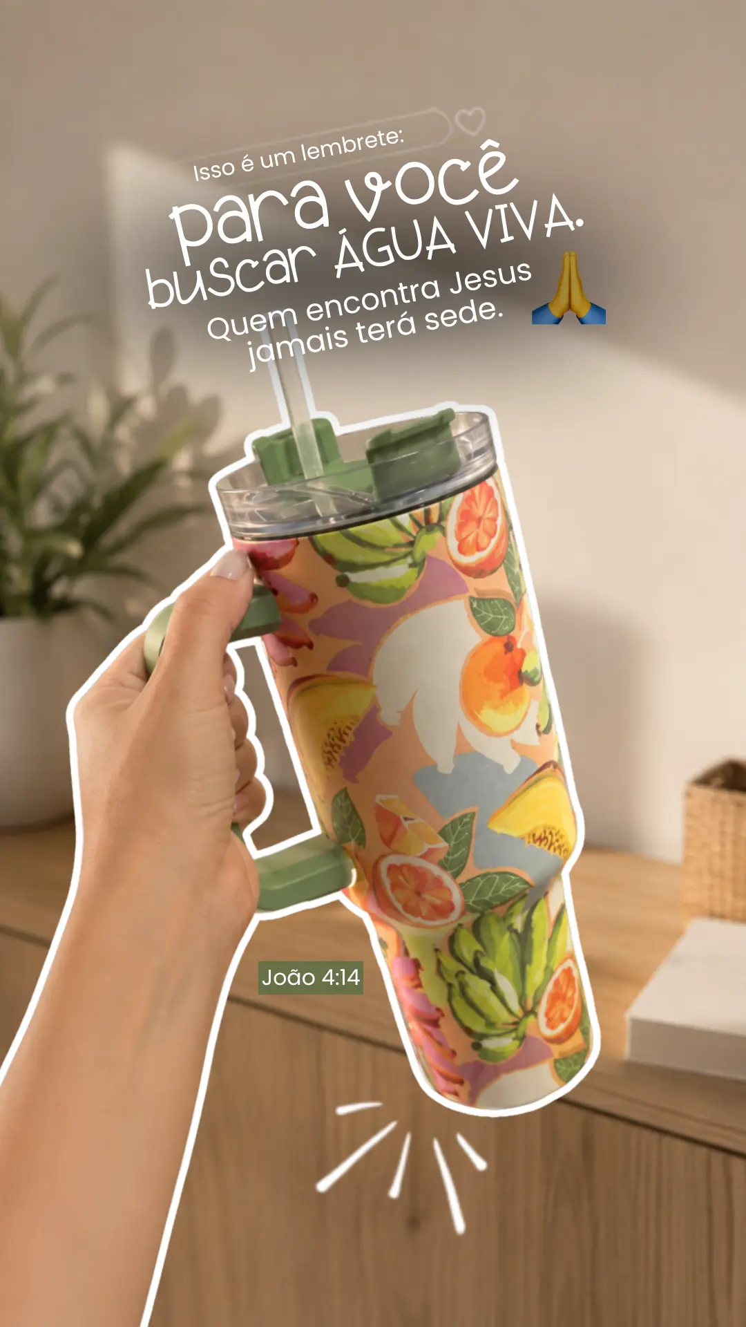 Story bíblico — Modelo 15