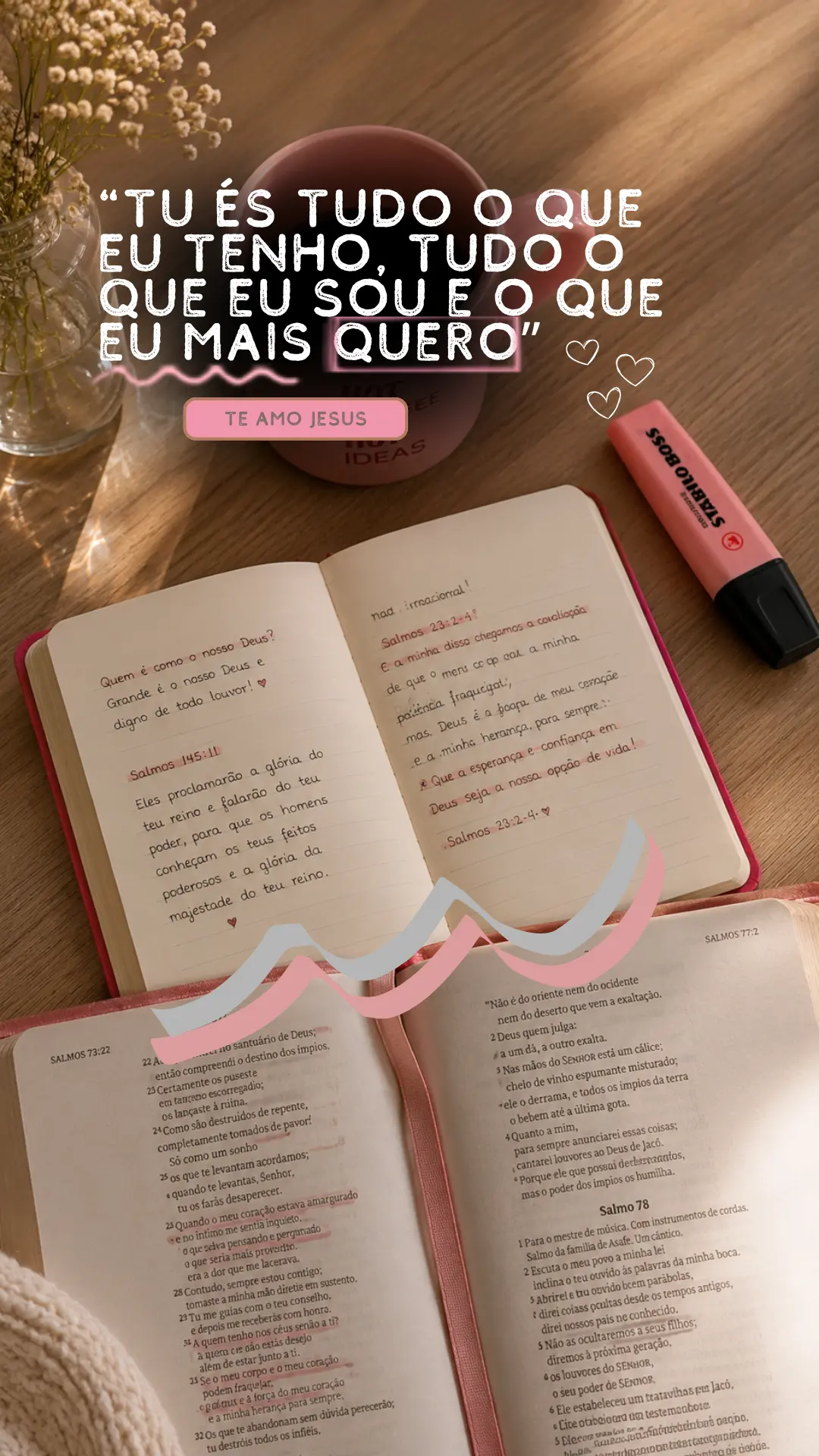 Story bíblico — Modelo 05