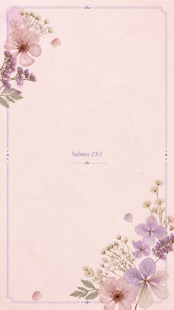 Story bíblico — Modelo 04